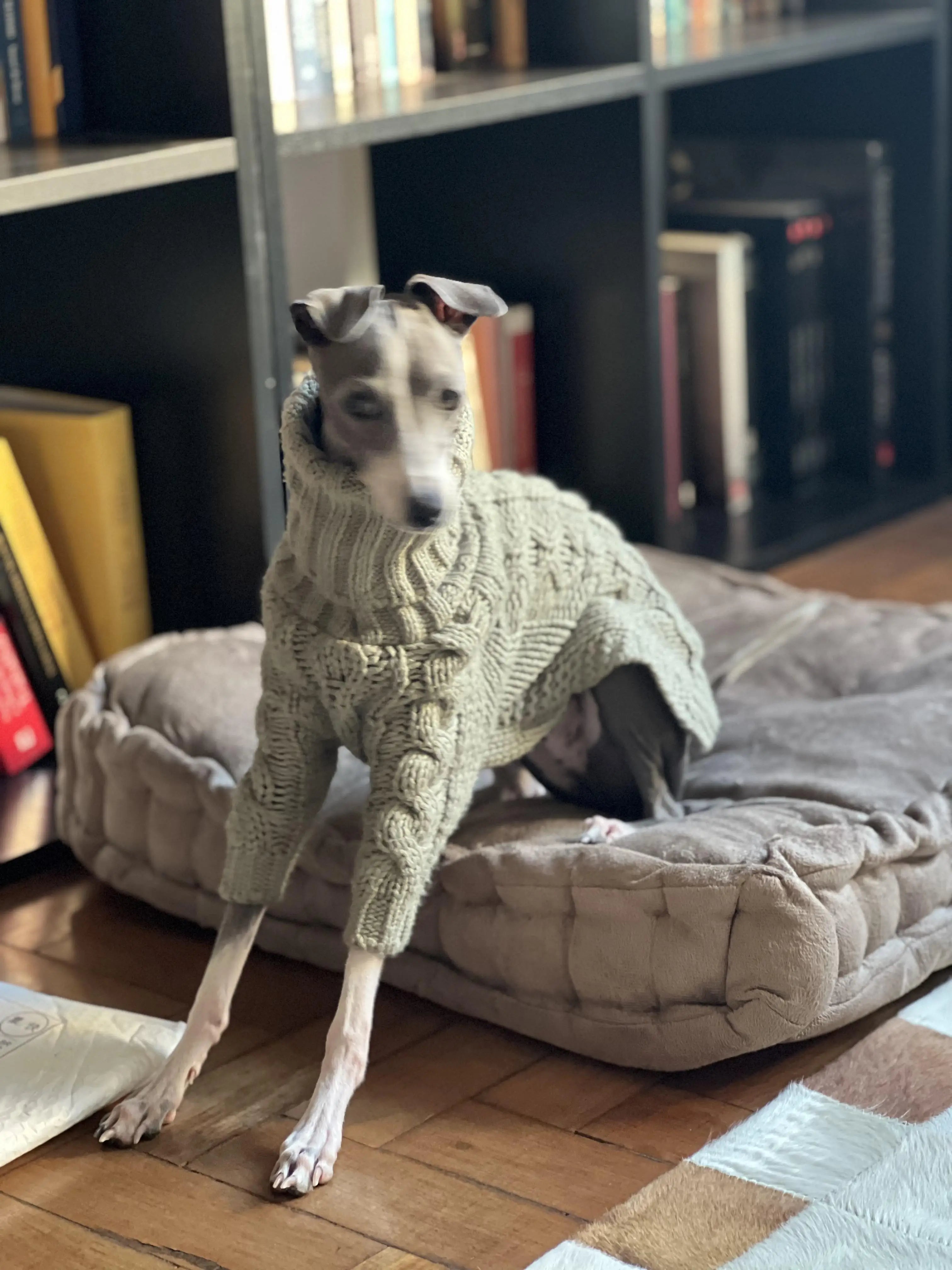 Lämmin Whippet - neule - Talvivaatteet Vinttikoiralle - whippetboys